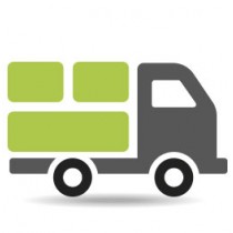 next day delivery icon